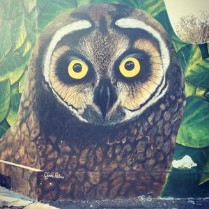 Meet your Posher, Roselyn